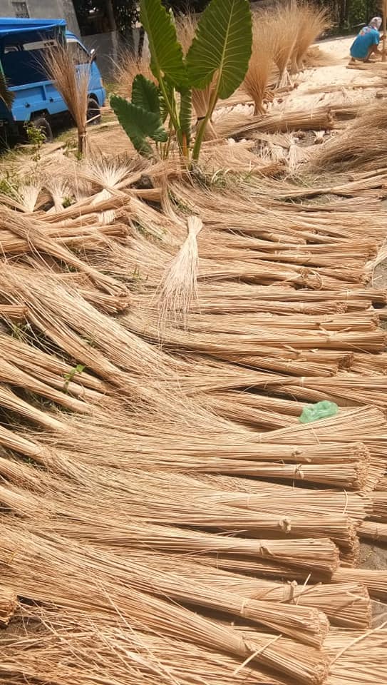 Coconut Broom Stick