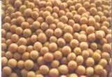 green and natural sesame oil sunflower oil soybean oil