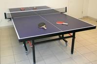 table tennis table as-203 square leg 3' wheels