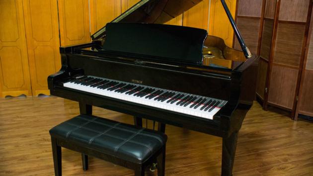 Petrof Grand Piano-----13000Euro