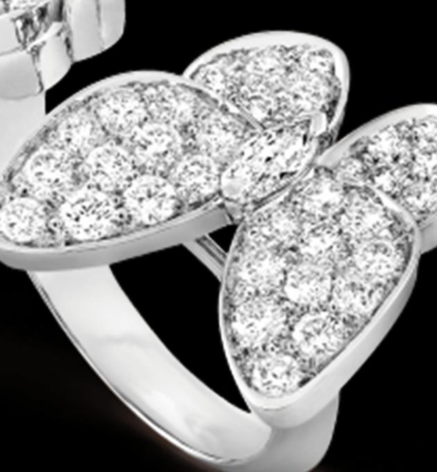 Two Butterfly Between The Finger Ring