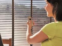 Interior Shutter Shades