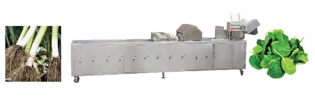 Vegetable Washing Machine