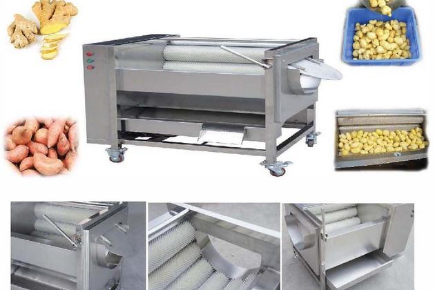 Brush Washing & Peeling Machine