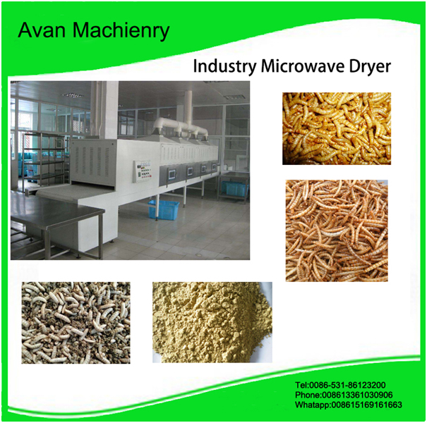 continuous black soldier fly microwave dryer machine
