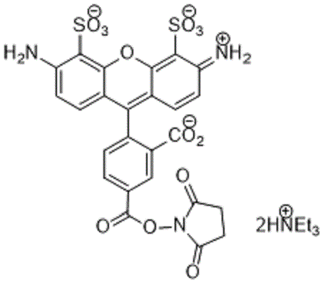 APDye 488 NHS ester (Alexa Fluor¬ 488 NHS equivalent)