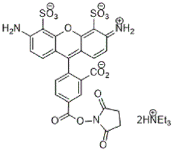 APDye 488 NHS ester (Alexa Fluor¬ 488 NHS equivalent)