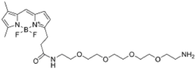 BDP FL-PEG4-amine TFA salt