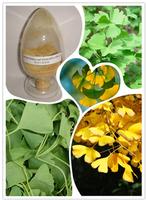 Ginkgo Biloba Extract
