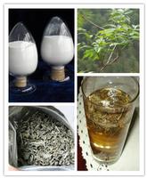 Vine Tea Extract Dihydromyricetin(DHM)