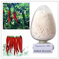 Chili Pepper Extract Capsaicin 95%