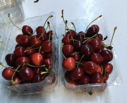 FRESH CHERRY