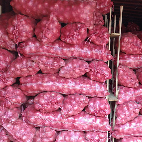 Red Big Onion
