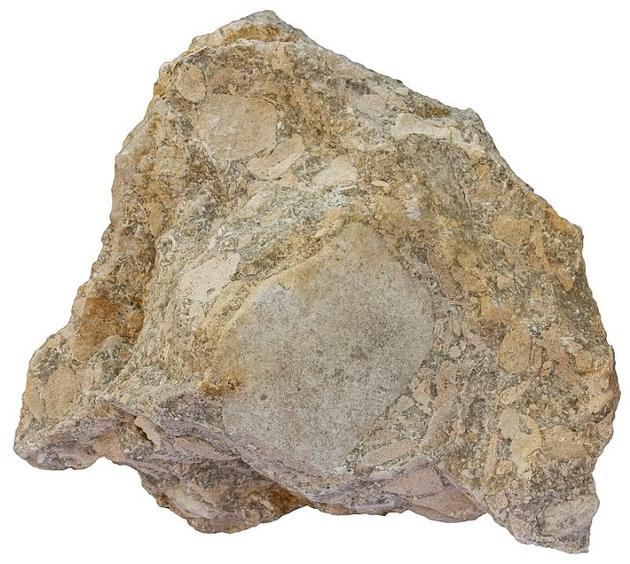  Lime Stone