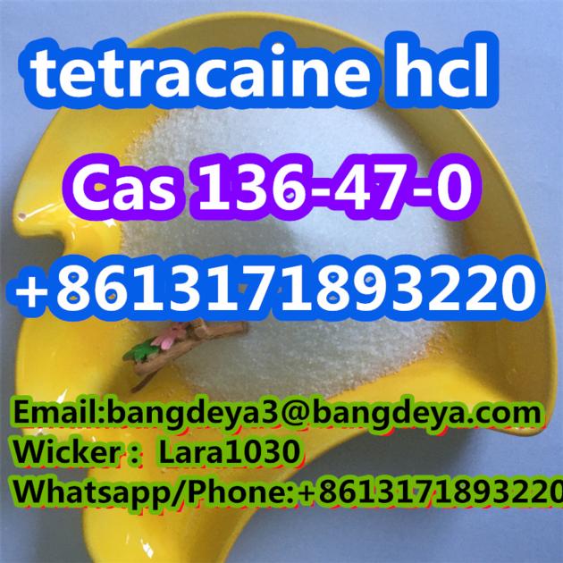 Cas 136-47-0 tetracaine hydrochloride