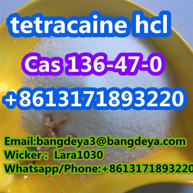 Cas 136 47 0 Tetracaine Hydrochloride