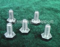 titanium bolt
