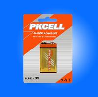 6 LR61 Alkaline Battery 