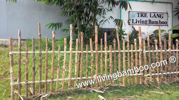 Bamboo Fence