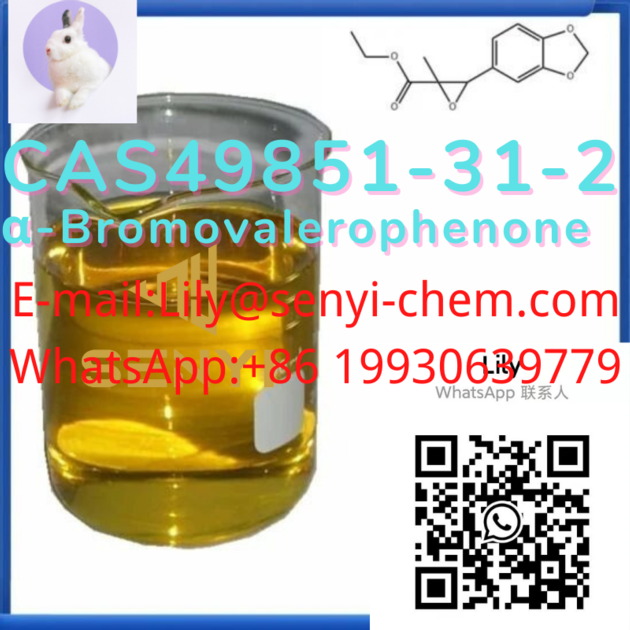 CAS49851 31 2 8619930639779 Lily Senyi