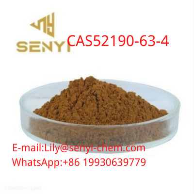 New Pmk Powder CAS 52190 28
