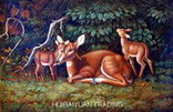 professional oil painting