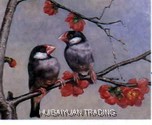 oil painting animal