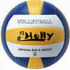 photo volleyball