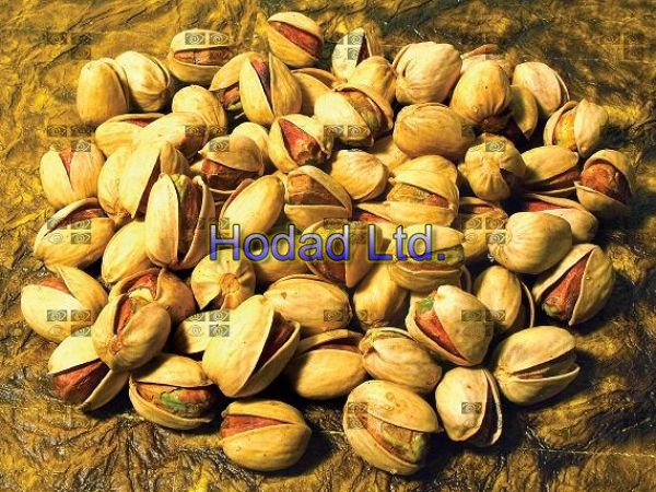  Jumbo Iranian Pistachio (Kalleqouchi)