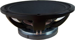 Professional Loudspeaker