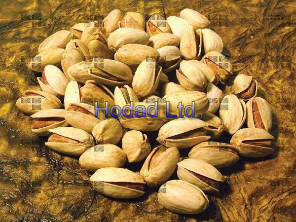 Long Iranian Pistachio(Ahmad aghaee)