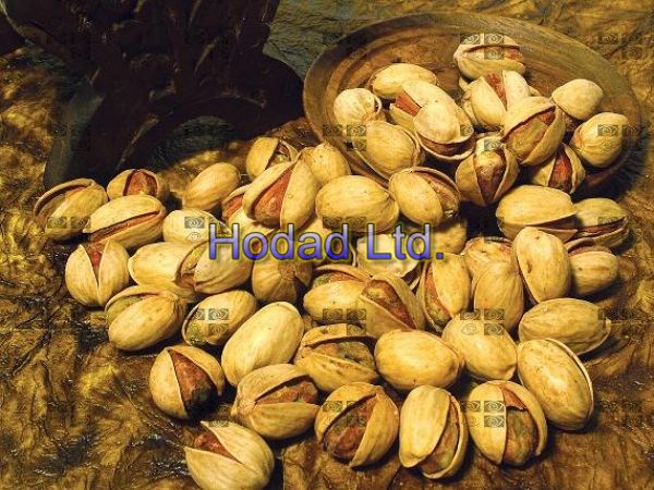 Round Iranian Pistachio (natural Fandoghi)