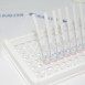Beta-Lactam + Tetracycline + Sulfonamides Combo Test