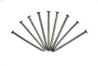 common nails