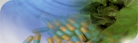 L-Carnitine Hydrochloride (FACTORY STANOARD)