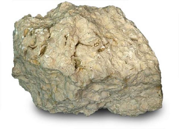 Lime Stone