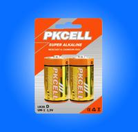 LR20 Alkaline Battery