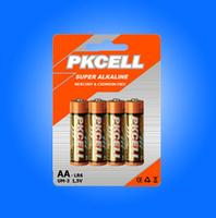 LR6 Alkaline Battery 