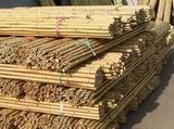 Bamboo Pole