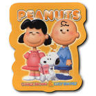 refrigerator magnet