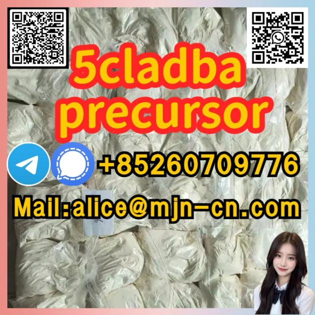 CAS 2504100-70-1 137350-66-4 5cladba	telegram/Signal:+85260709776