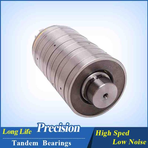 5 stage Tandem Thrust Bearing