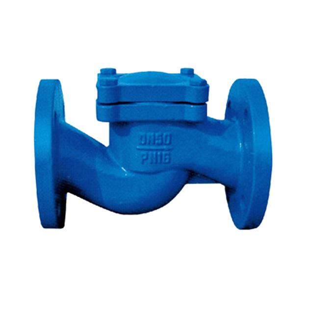 DIN Grey Iron Lift Check Valve