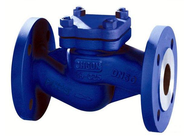 DIN Grey Iron Lift Check Valve DN15-200 (H41H-16)
