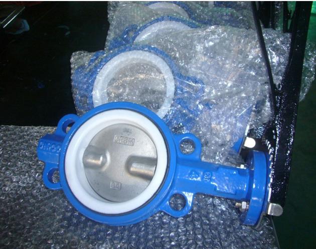 ASTM Cf8 Disc Soft Seal Flange
