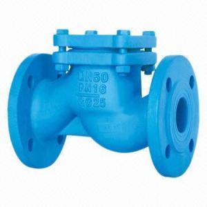 DIN Grey Iron Lift Check Valve