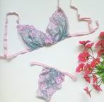 Wholesales sexy lace underwear, lingerie, accept paypal
