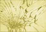 Laminated Glass