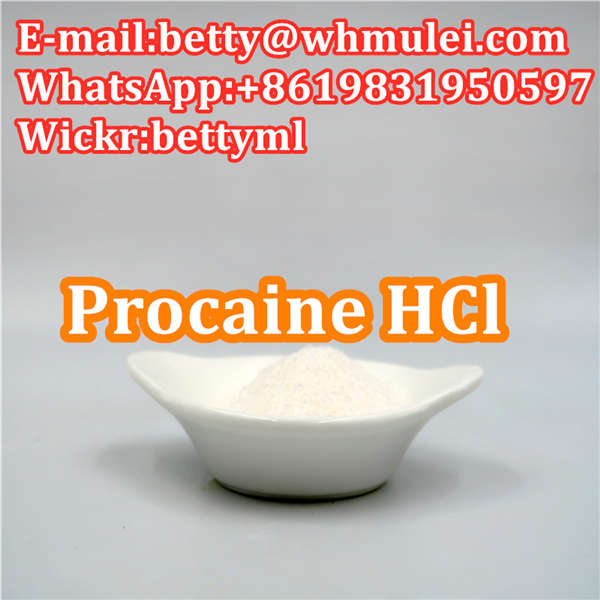 Cas:51-05-8 factory procaine hydrochloride procaine hcl powder favorable price safe delivery