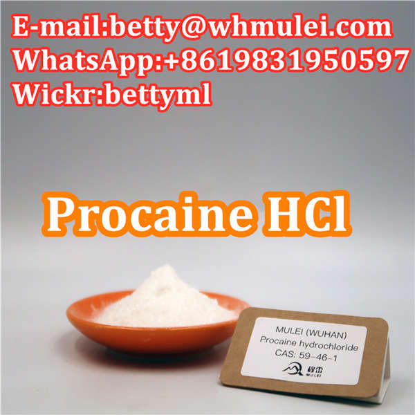 Cas 51 05 8 Factory Procaine